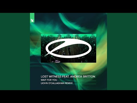 Wait For You (John O'Callaghan Remix)