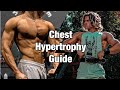 Build A Bigger Chest | Complete Chest Guide For Hypertrophy|