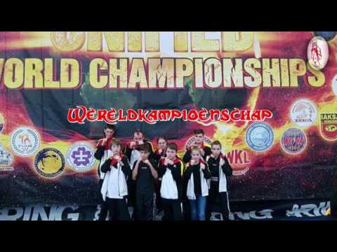 Jaaroverzicht 2016,korte versie