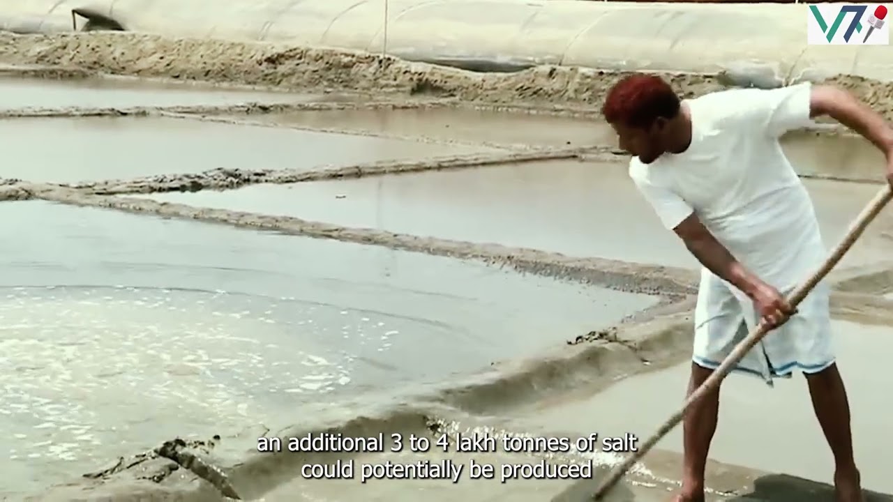 Salt Production Reaches Record High Amid Heatwave