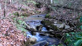 preview picture of video 'Creek Behind Greenfields West Lot 274'