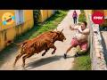 Try Not To Laugh Top 99 Funniest Videos Ever Funny Videos Compilation 2026 210