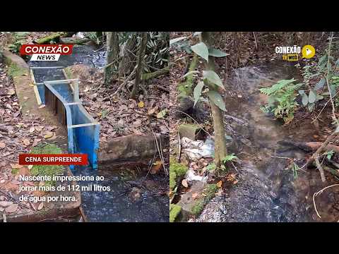 Vídeo: Nascente impressiona ao jorrar mais de 112 mil litros de água por hora.