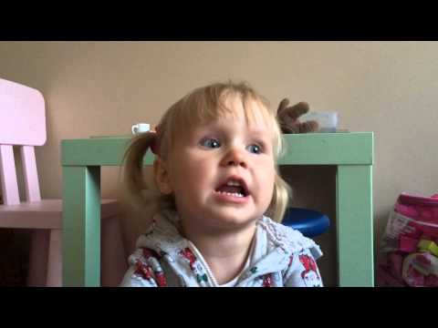 Du gaideliai pagal Viją