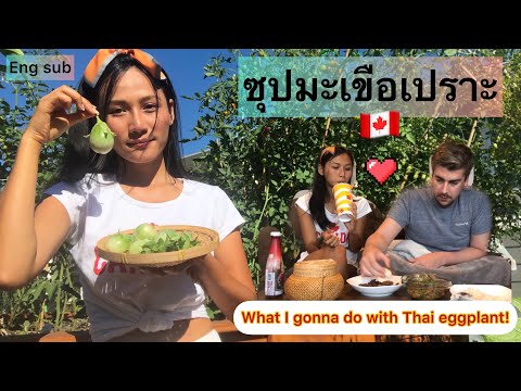 Picking Thai eggplant making Thai food #ซุปมะเขือแซ่บๆ...