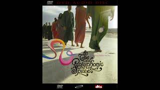 The Polyphonic Spree - Section 11 (A Long Day Continues/We Sound Amazed) [5.1 Surround Sound]