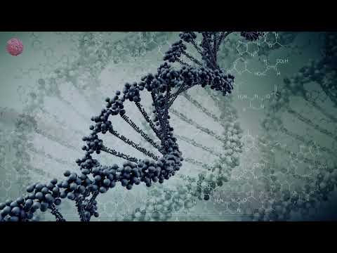 Sllash & Doppe - Gingoba (Extended Mix)