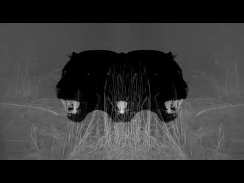 Lulu Rouge feat. Fanney Ósk - Sign Me Out (Frømme remix) Unofficial