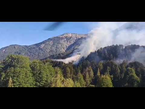 Con trabajos en terreno y medios aéreos, combaten incendio forestal en la zona del lago Martin (Foto de archivo/video: gentileza Federico Quintero)