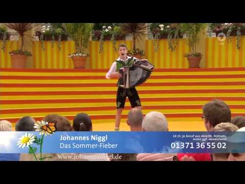 Johannes Niggl - Das Sommer-Fieber (Immer wieder sonntags, 07.06.2015)