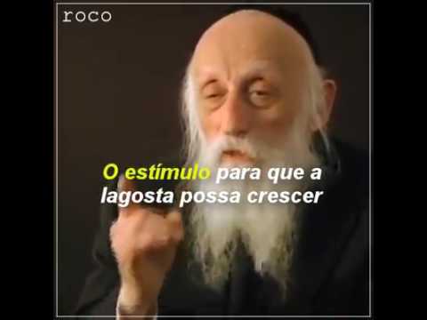 Motivação Lagosta - Crescer nas adversidades - Rabino Abraham Twerski