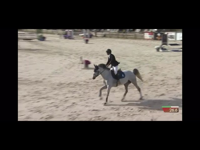 Harvest / Jument sf de 9 ans / top respect 