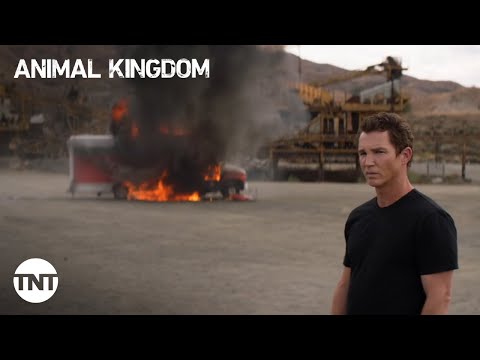 Animal Kingdom: The moment Andrew turns into Pope - Season 5, Episode 11 [CLIP] | TNT