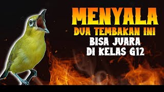 Download lagu TEMBAKAN ANDALAN UNTUK MASTERAN PLECI JUARA G12 #masteranpleci #plecijuarag12 mp3