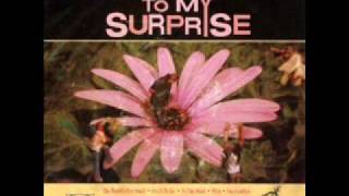 To My Surprise - The World&#39;s Too Small
