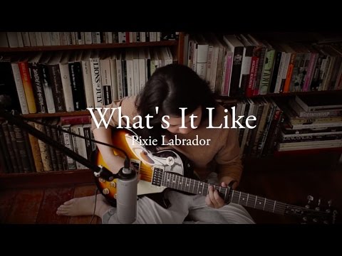 Pixie Labrador - What's It Like (Original Song)