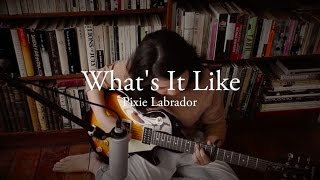 Pixie Labrador - What's It Like (Original Song)
