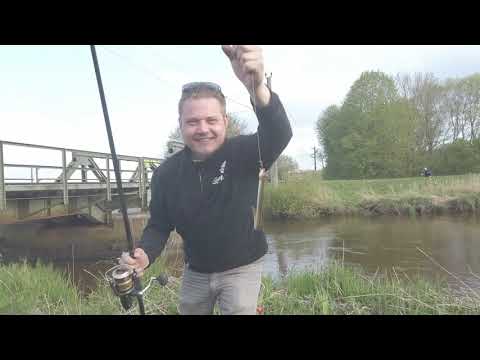 Aal- und Welsangeln an den kleinen Flüssen Ostfrieslands