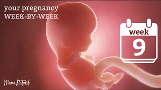 9 Weeks Pregnant - Natural Pregnancy Week-By-Week