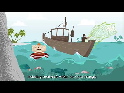 USAID Sustainable Coral Triangle (SCT)