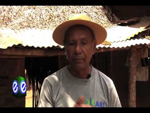 EPT TV SECTOR AGROPECUARIO 1