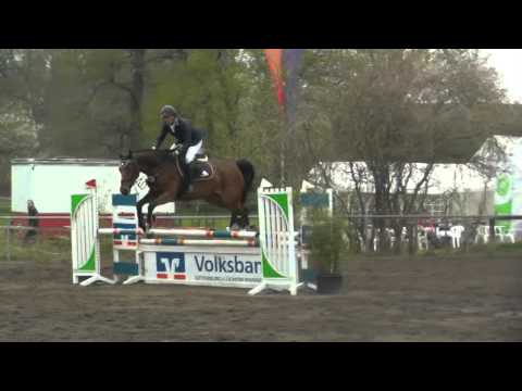 5j. St. von Sergeant Pepper-Kolibri