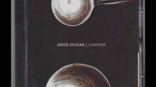 David Sylvian - All of My Mother's Names