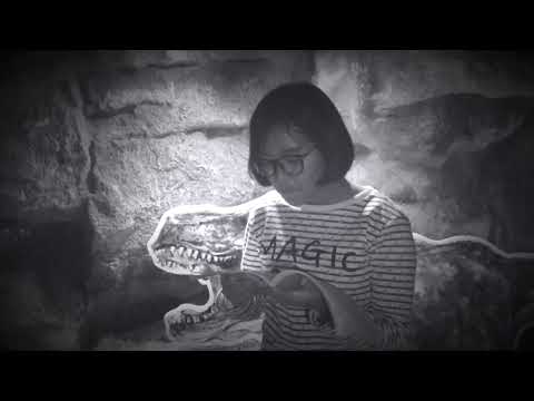 Project T.Joe SW-118