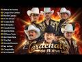🎶 Cardenales De Nuevo León 💿 Norteñas Románticas y Corridos Viejitos DEFAULT Thumbnail