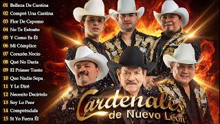 🎶 Cardenales De Nuevo León 💿 Norteñas Románticas y Corridos Viejitos MQDEFAULT Thumbnail