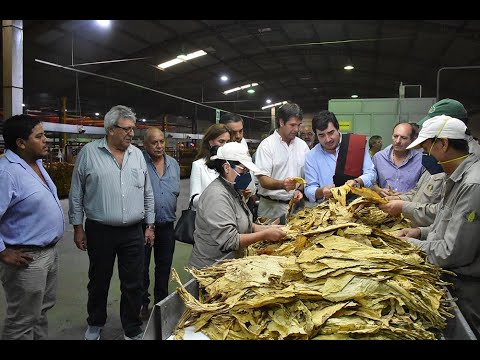 El Ministro de la Producción analizó con tabacaleros la problemática del sector