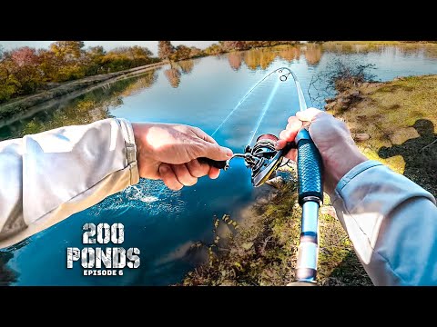 Winter Pond Fishing In SHALLOW Water! (200 Ponds Ep. 6)