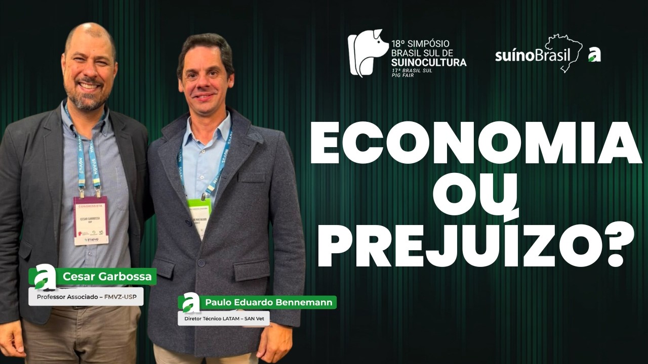 Reduzir custo pode sair mais caro? O erro que compromete a rentabilidade na suinocultura