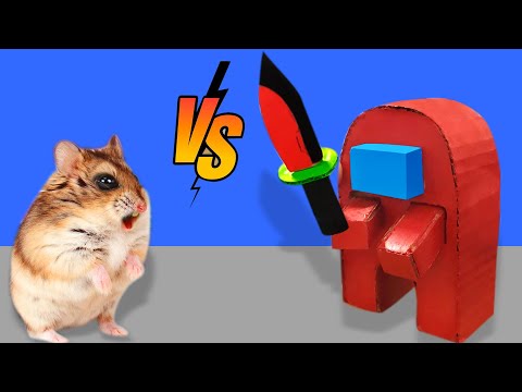 🐹🎮 Hamster Challenge: AMONG US Game Maze and traps [Obstacle] 😱