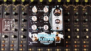 Video thumbnail for Beautiful Noise Effects Endless Sleeper - an AMAZING dual delay/ambience/lofi machine by TheSuperFunAwesomeHappyTimePedalShow