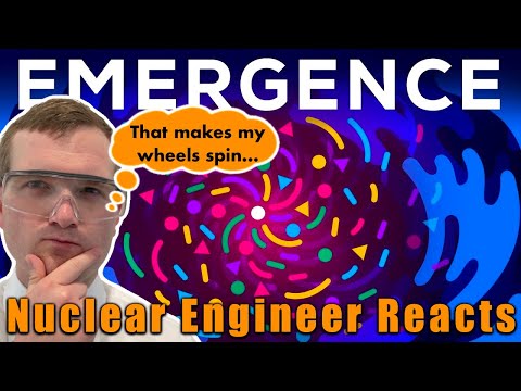 Nuclear Engineer reacts to Kurzgesagt "Emergence - How Stupid Things Become Smart Together"
