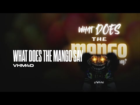 VHM4D - WHAT DOES THE MANGO SAY FUNK