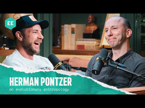 Herman Pontzer (on evolutionary anthropology) | Armchair Expert with Dax Shepard