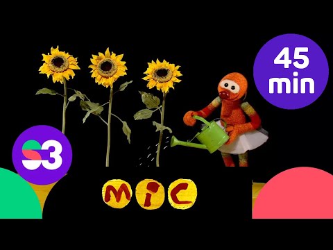 El Mic descobreix la primavera | El Mic i els seus amics