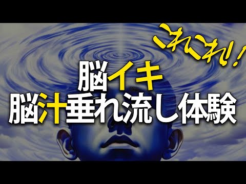 脳: この豆粒ほどの領域はあなたが思っているよりも重要です – 常に必要となります