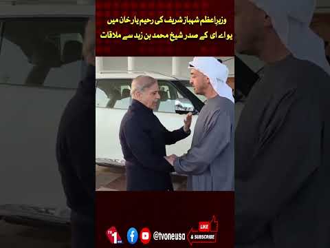 شہباز شریف کی یو اے ای کے صدر سے رحیم یار خان میں ملاقات