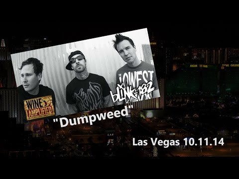 Blink 182 | Dumpweed | Wine Amplified | Las Vegas 2014