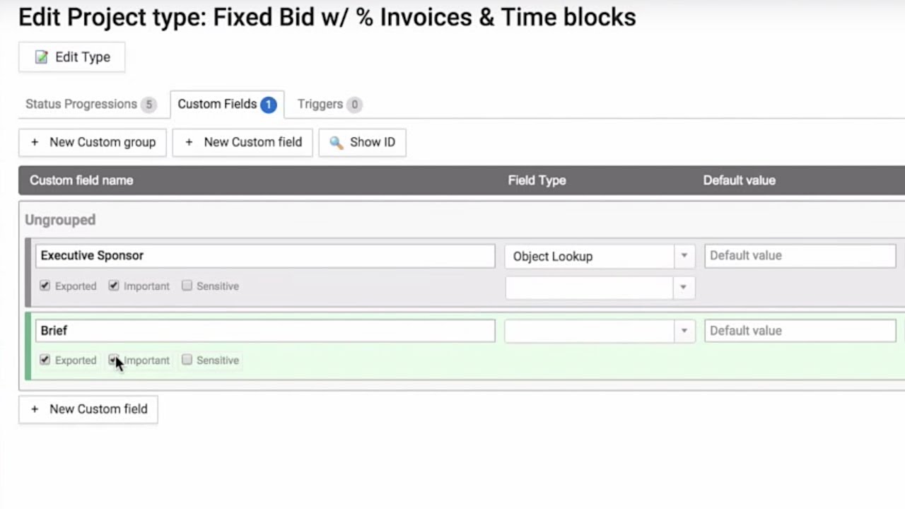 Add Custom Project Fields - Accelo