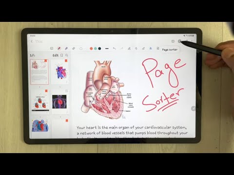 How to Enable Page Sorter Option in Samsung notes