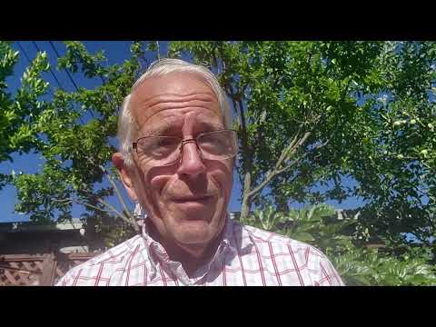 Witness21  2020 07 11