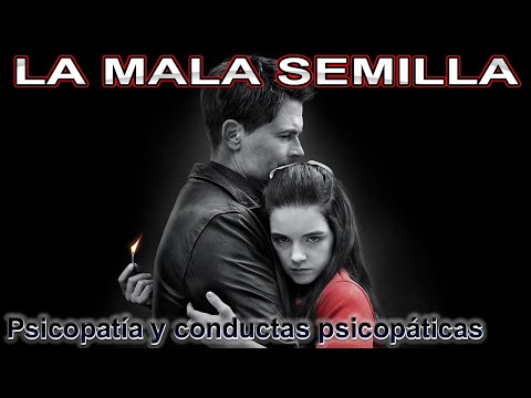 THE BAD SEED 📢 LA MALA SEMILLA 📢 Película completa 📢  ESPAÑOL LATINO