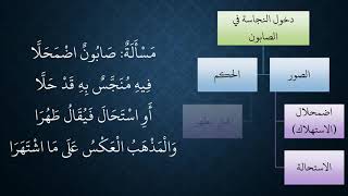 صورة 10شرح منظومة فقه النوازل - عامر بهجت (دخول النجاسة في الصابون)