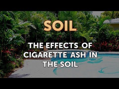 The Effects of Cigarette Ash in the Soil