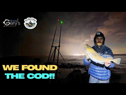 The COD Catching Comeback | Northumberland | North East Sea Fishing