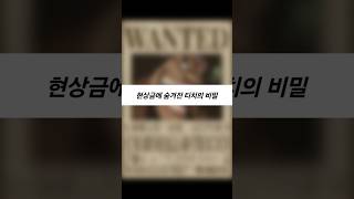 현상금에 숨겨진 티치의 비밀